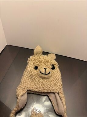 Andes Gifts Alpaca Knit Hat adult unisex